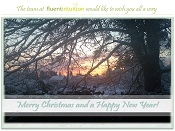 Season's Greetings from fluentintuition